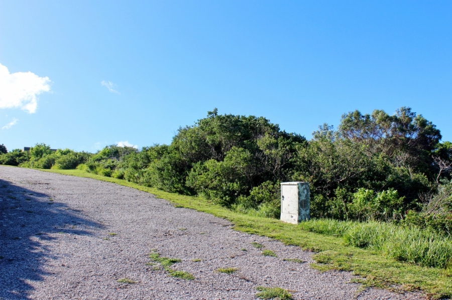 0 Bedroom Property for Sale in Forest Downs Eastern Cape